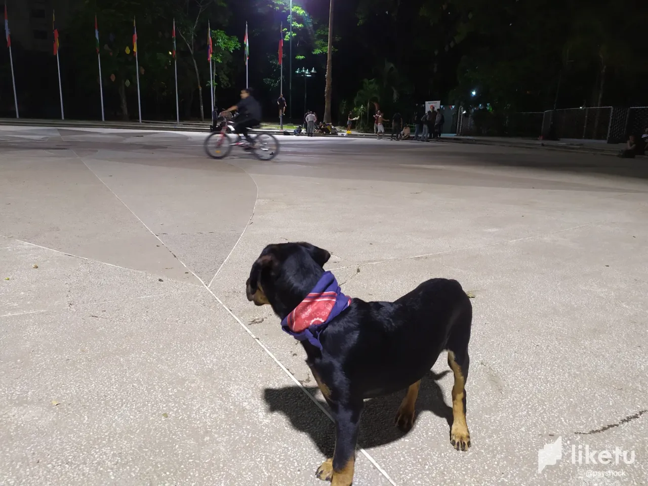 clkos4i1700qq0iszdmurhwei_IMG_20230727_204352.webp