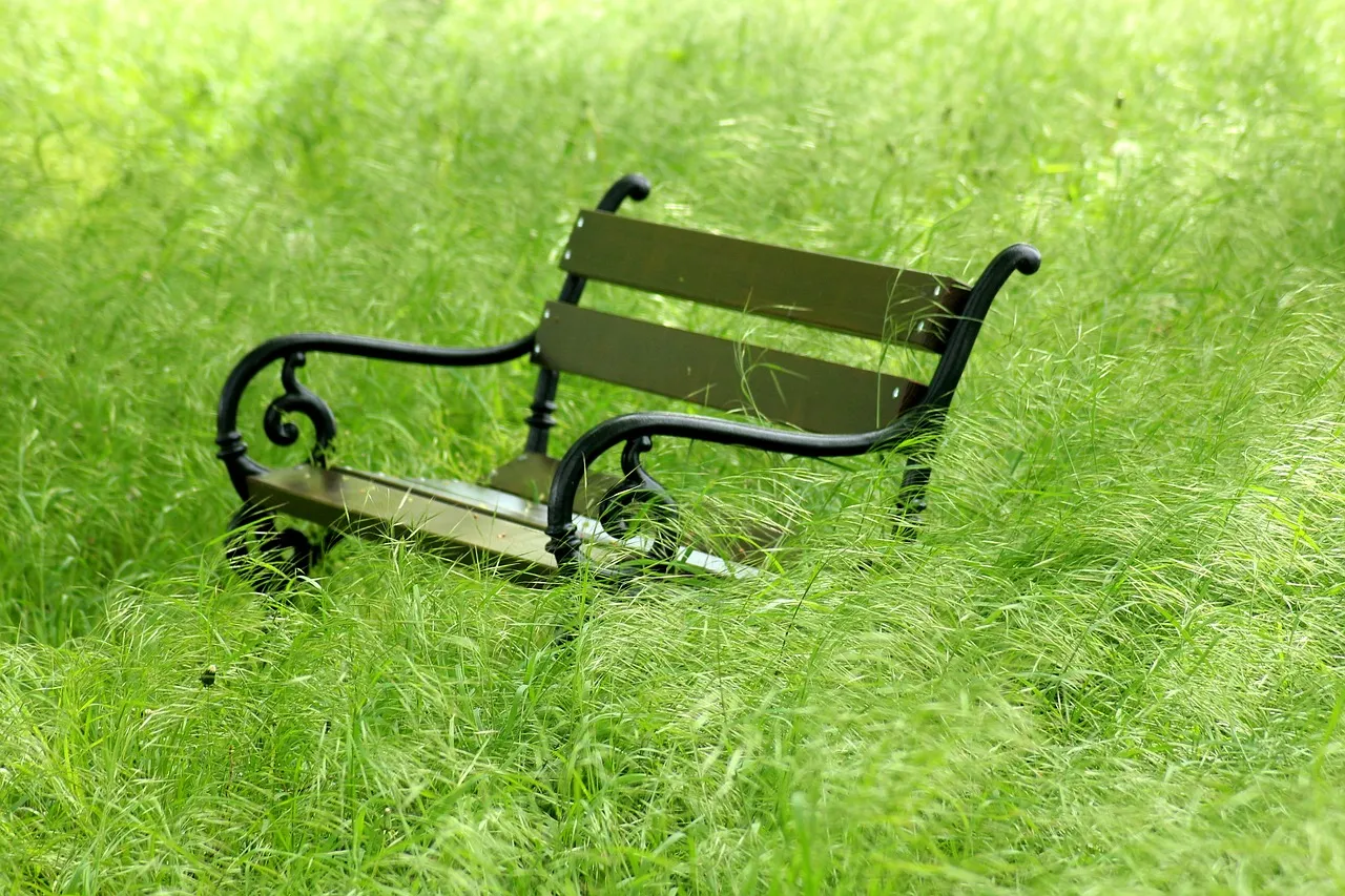 bench-4186726_1280.jpg