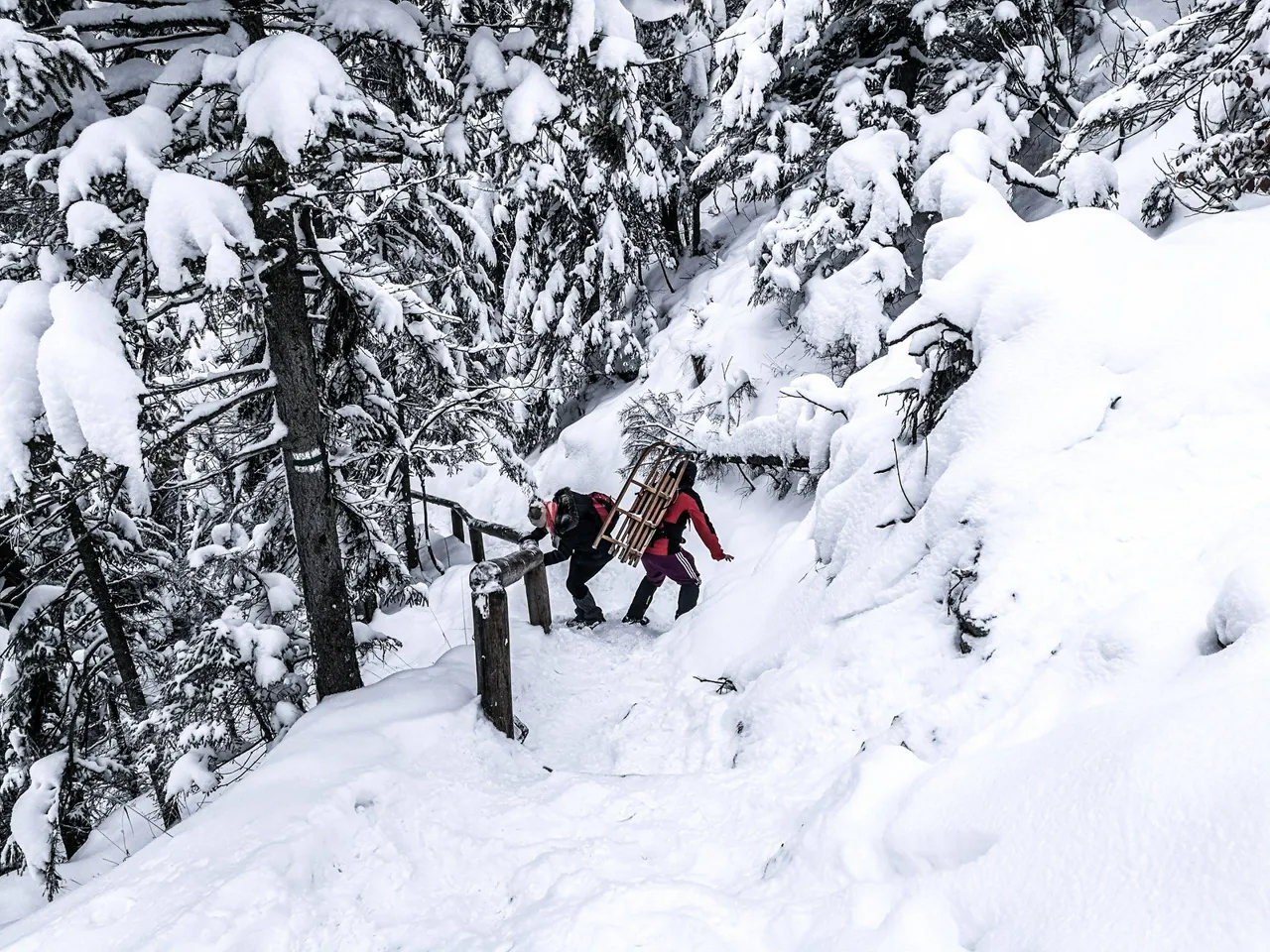 Not this time. These people have failed to reach skiing track on Nosal mountain and the hiking route was too narrow to use their sledges. Photo by Alis Monte [CC BY-SA 4.0], via Connecting the Dots