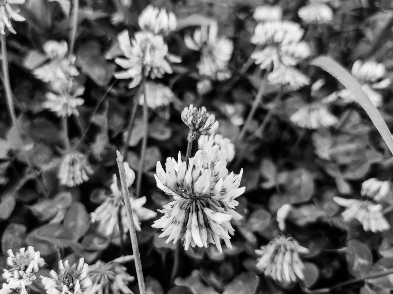 IMG_20220515_090606 (1).jpg