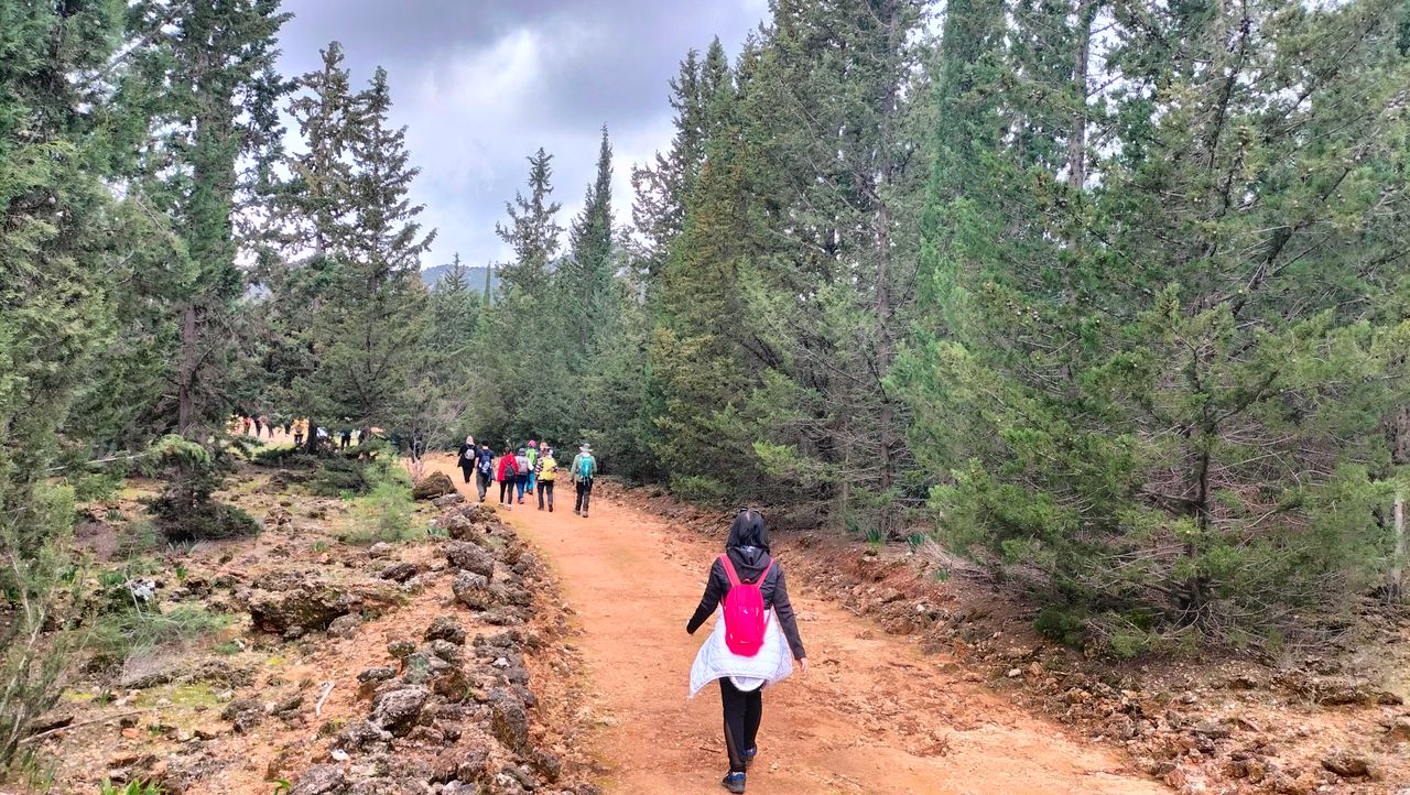 Spiritual Walks /  Ruh Yürüyüşleri ( EN-TR)
