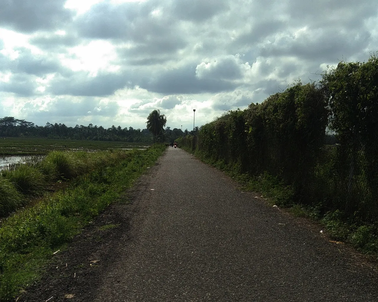 IMG_20201222_152959-01.jpeg