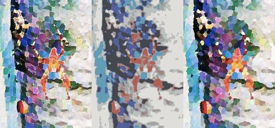 151921431399184444 (1).jpg
