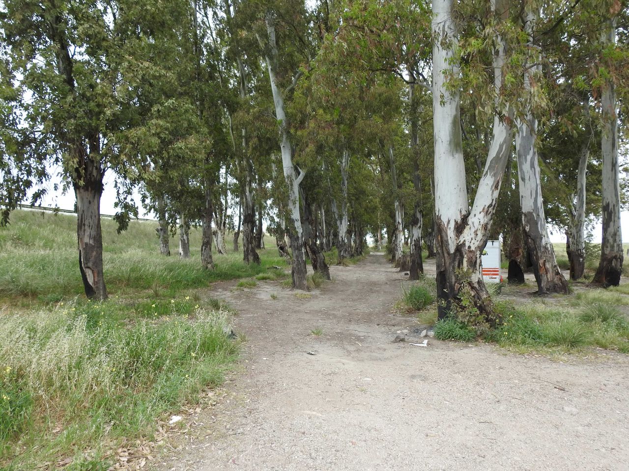 DSCN0656.JPG