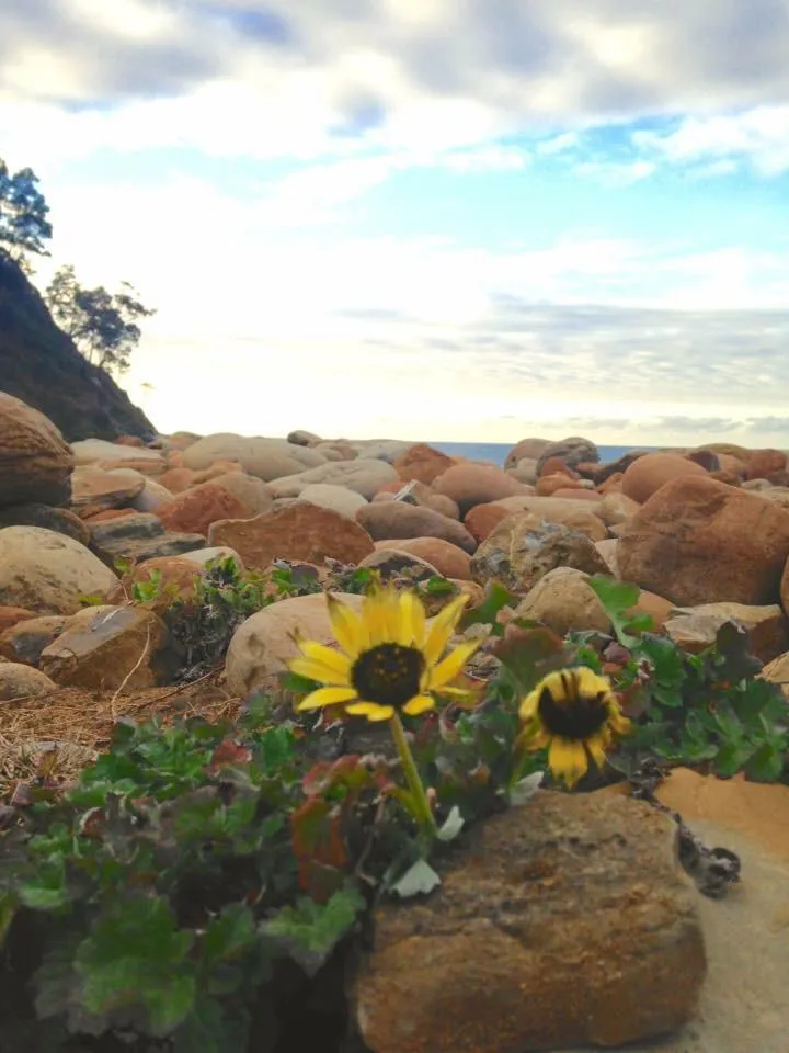 https://s3.us-east-2.amazonaws.com/partiko.io/img/jandroh-la-naturaleza-en-mi-pueblo-m49r6zgd-1544858797216.png