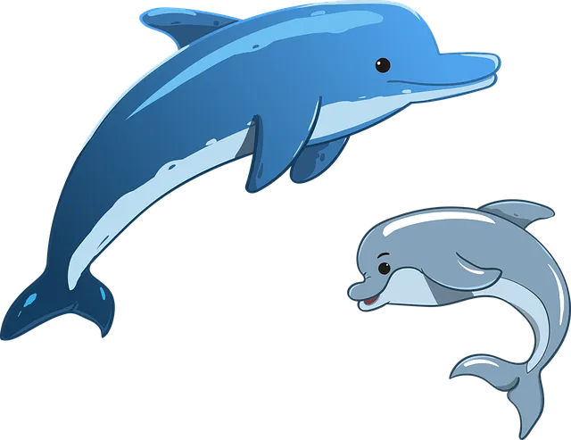 dolphins clipart
