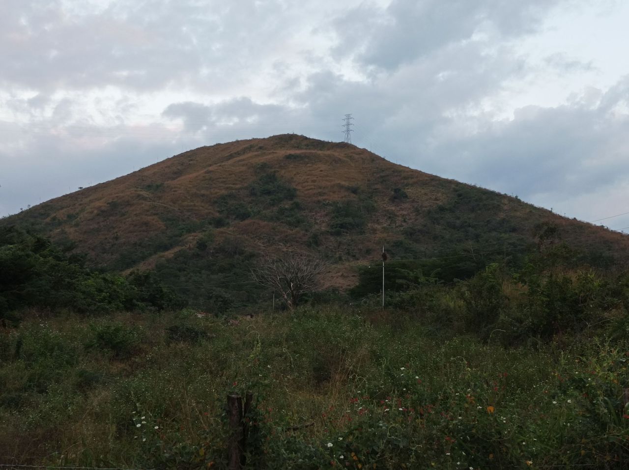 p10.jpg