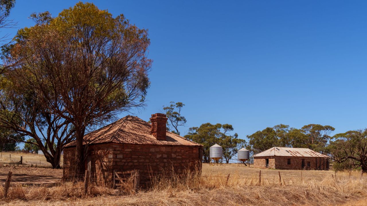 Pioneer buildings