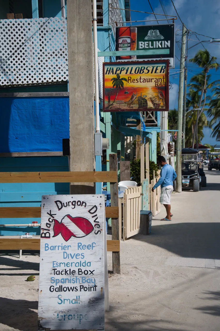_DSC9203.jpeg