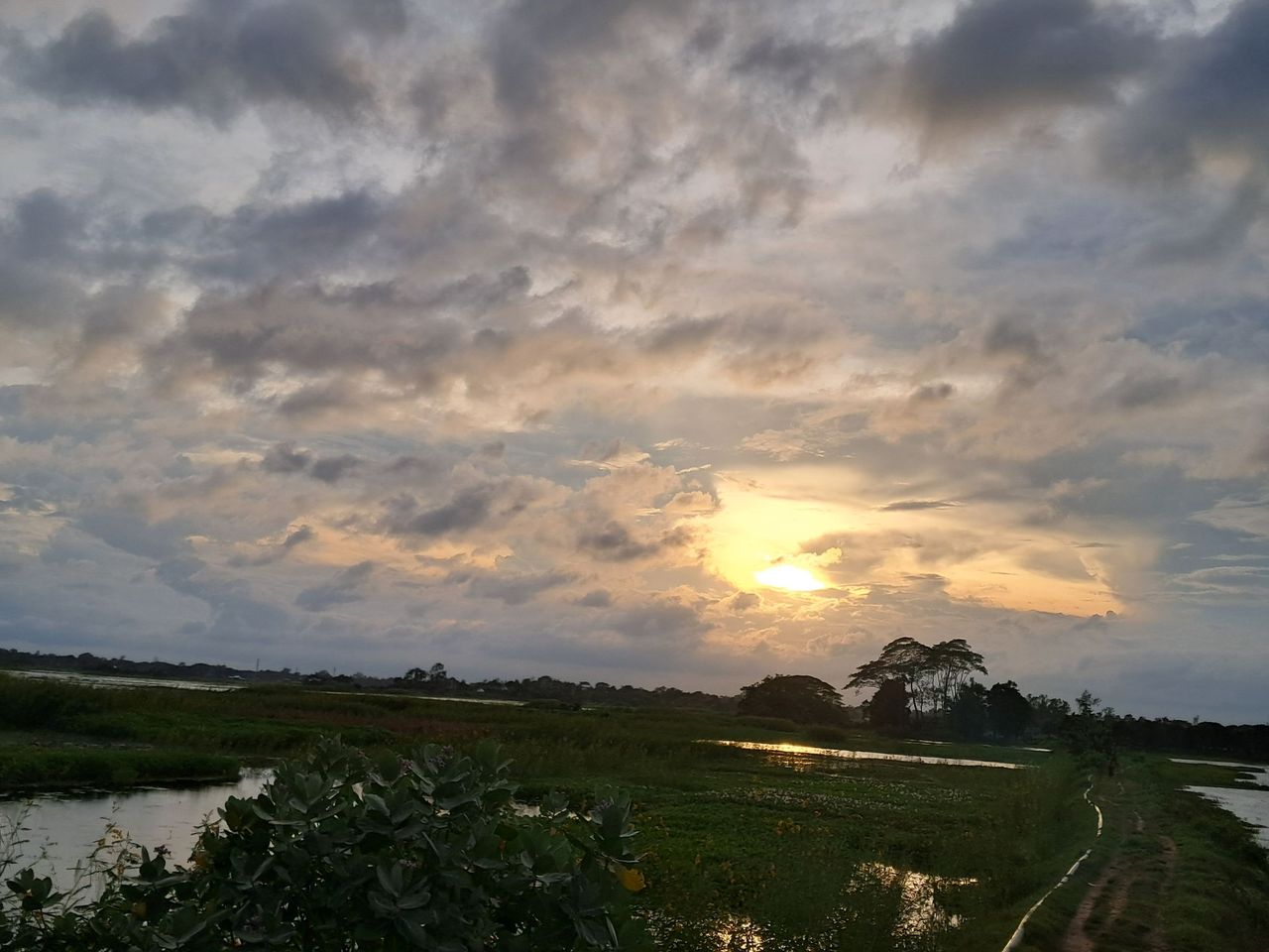 Beautiful sunset view 