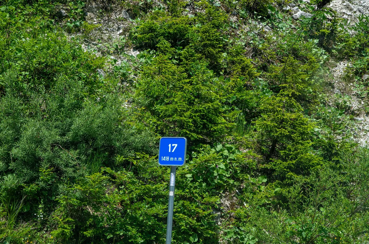 IMGP2823c.jpg