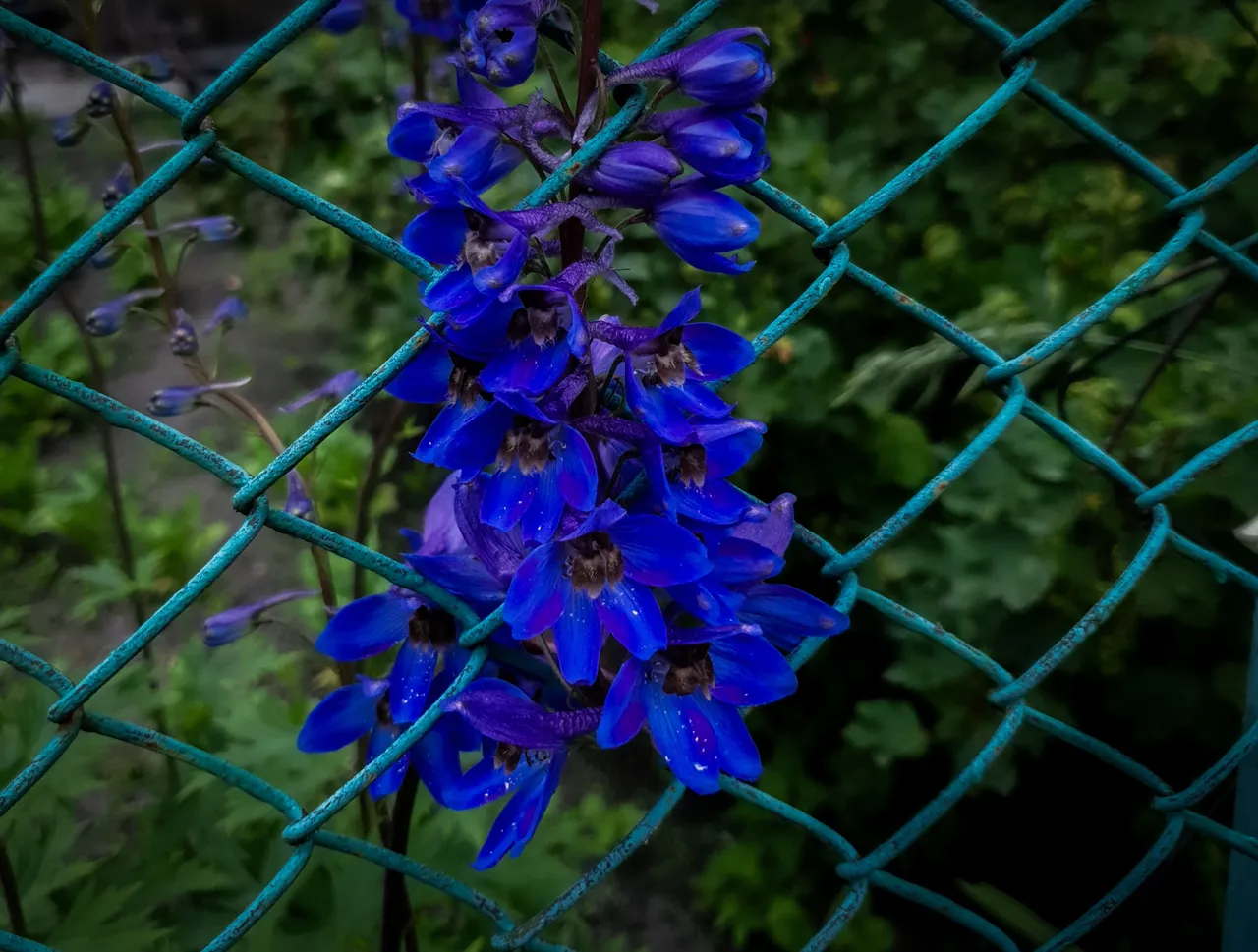 20250608_154118.jpg