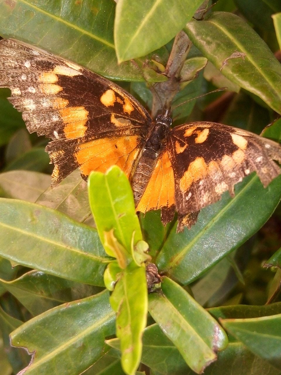 IMG_20201213_100428.jpg