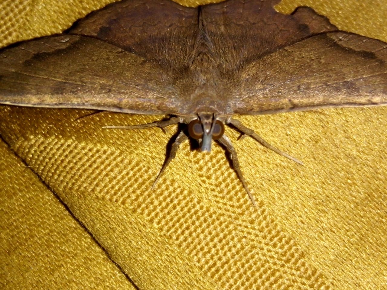 IMG_20201210_130602.jpg