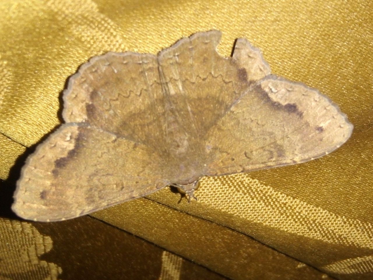 IMG_20201210_130430.jpg