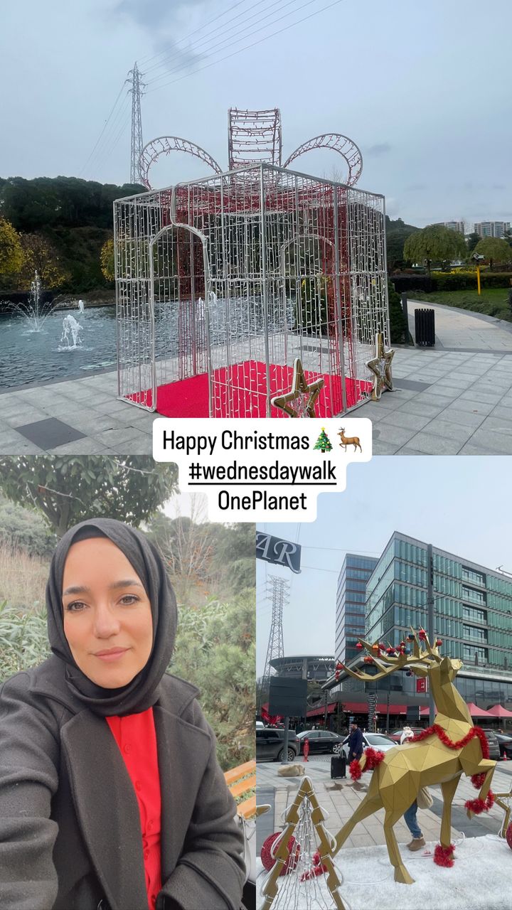A Christmas Walk in Vadi İstanbul: Lights & Early Birthday Smiles (Eng-Tr)