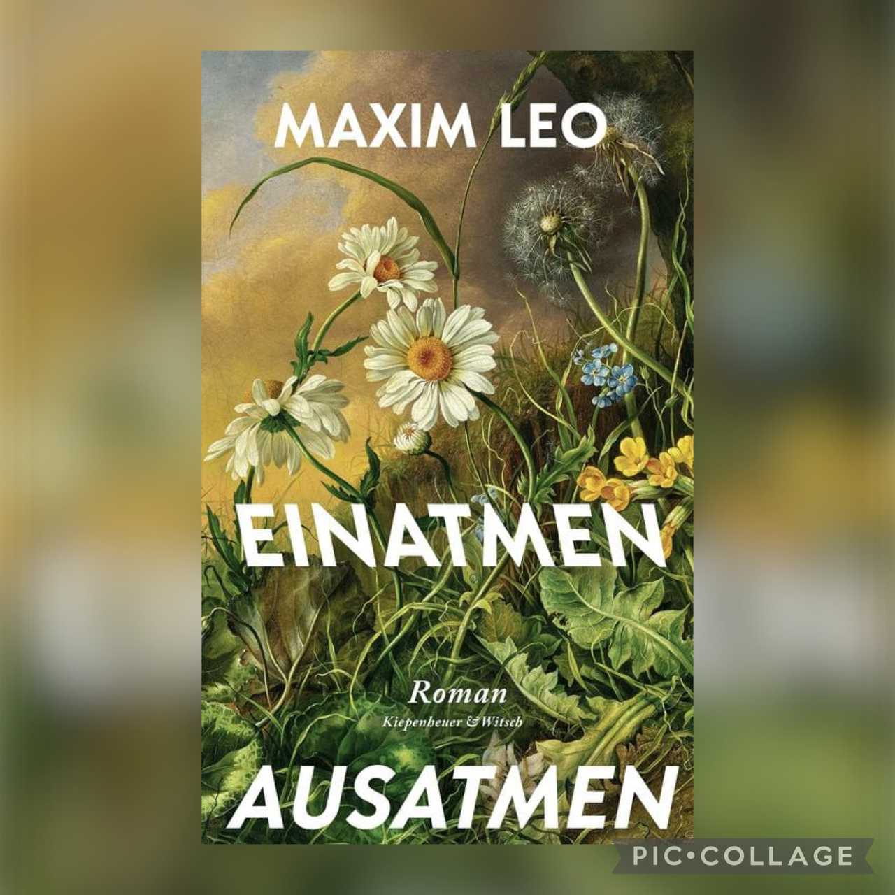 Einatmen Ausatmen