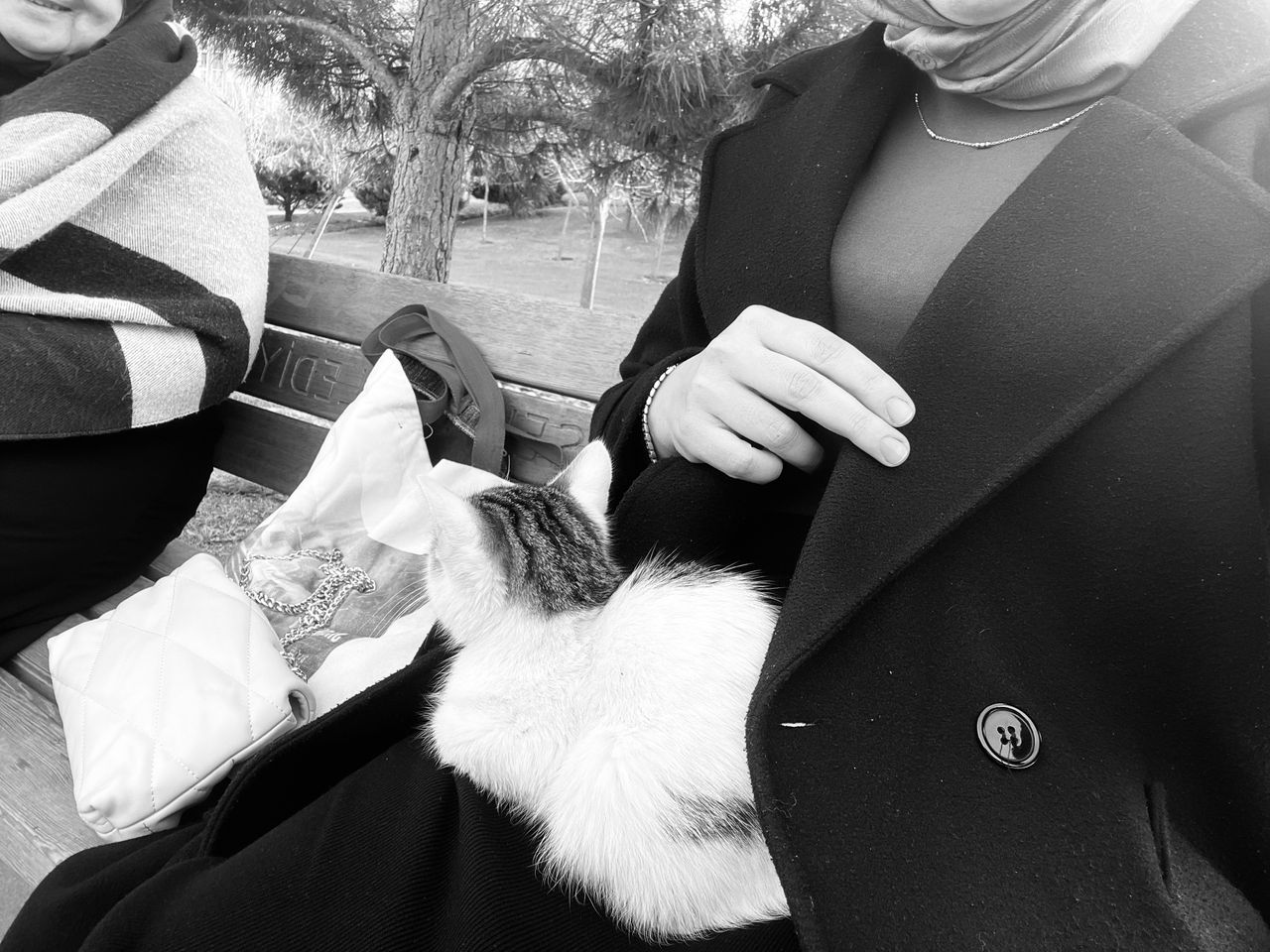 My entry for the #monomad challenge: A small kitten, a warm lap, and a calm moment