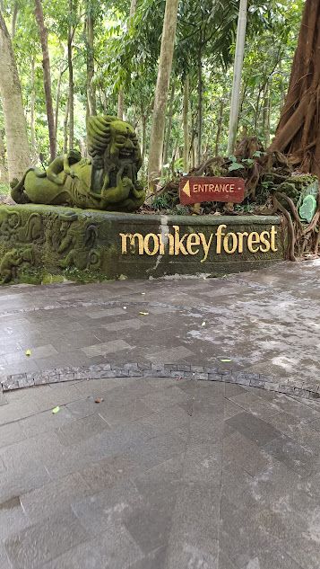 The last visit to Monkey forest in Ubud town
