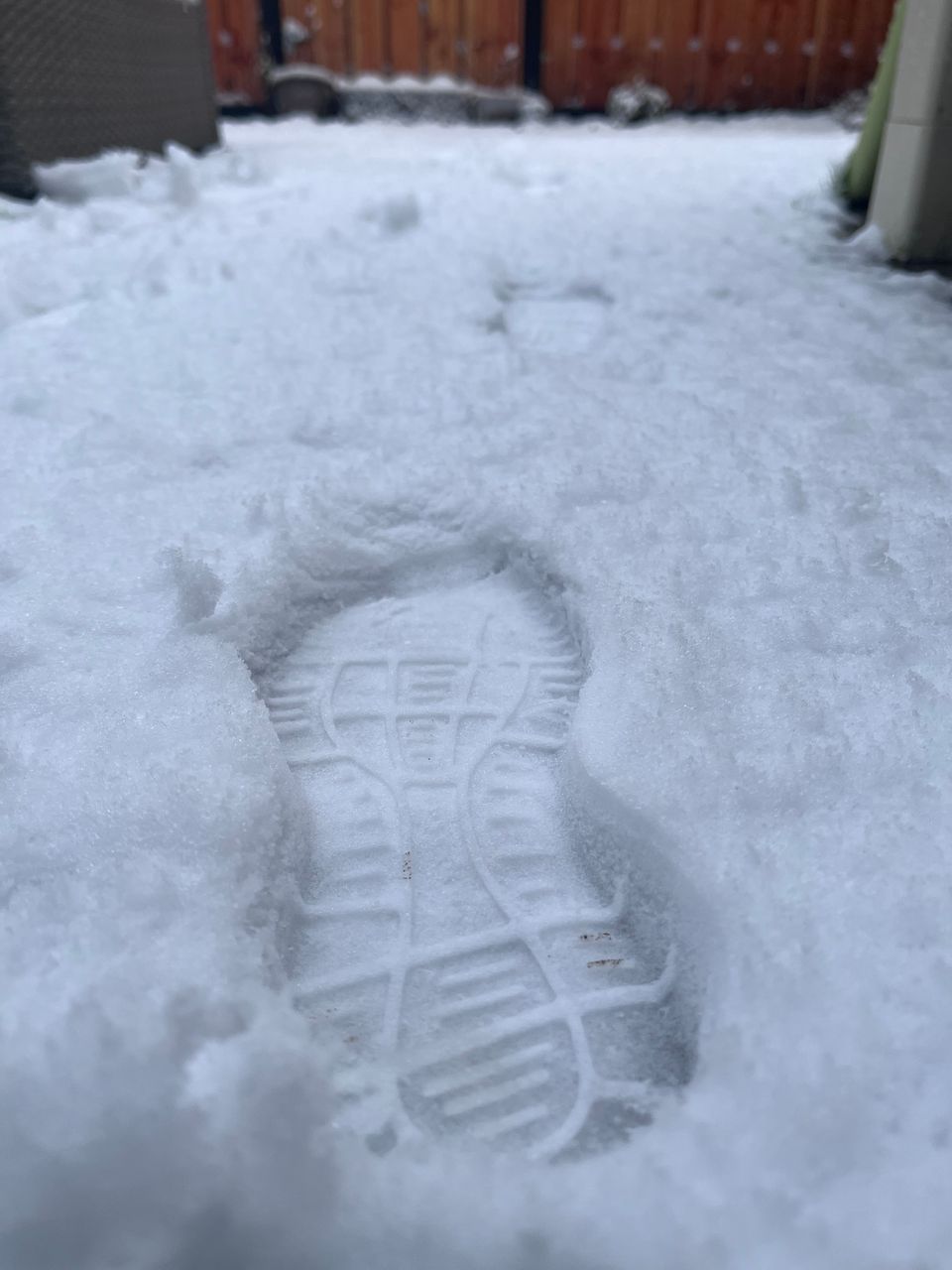 My week in snow