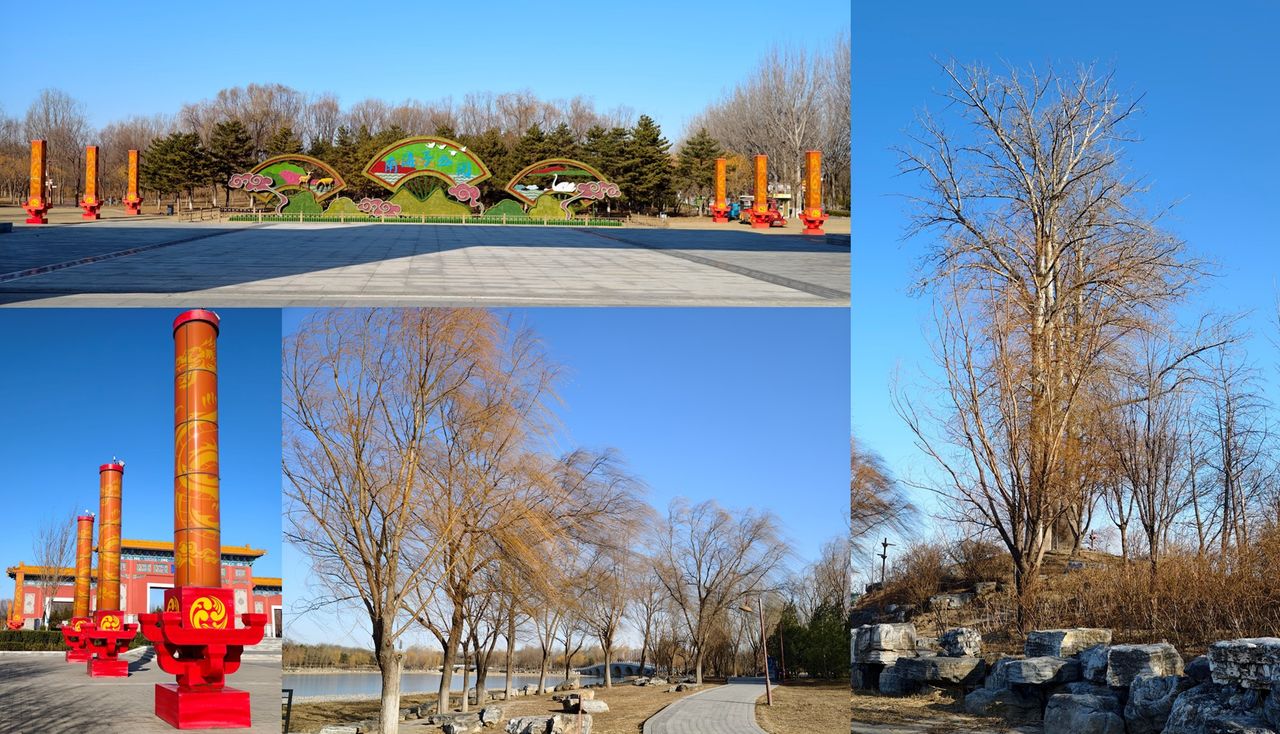 A Day Tour To The Nanhaizi Park In The Southern Region Of The Beijing City