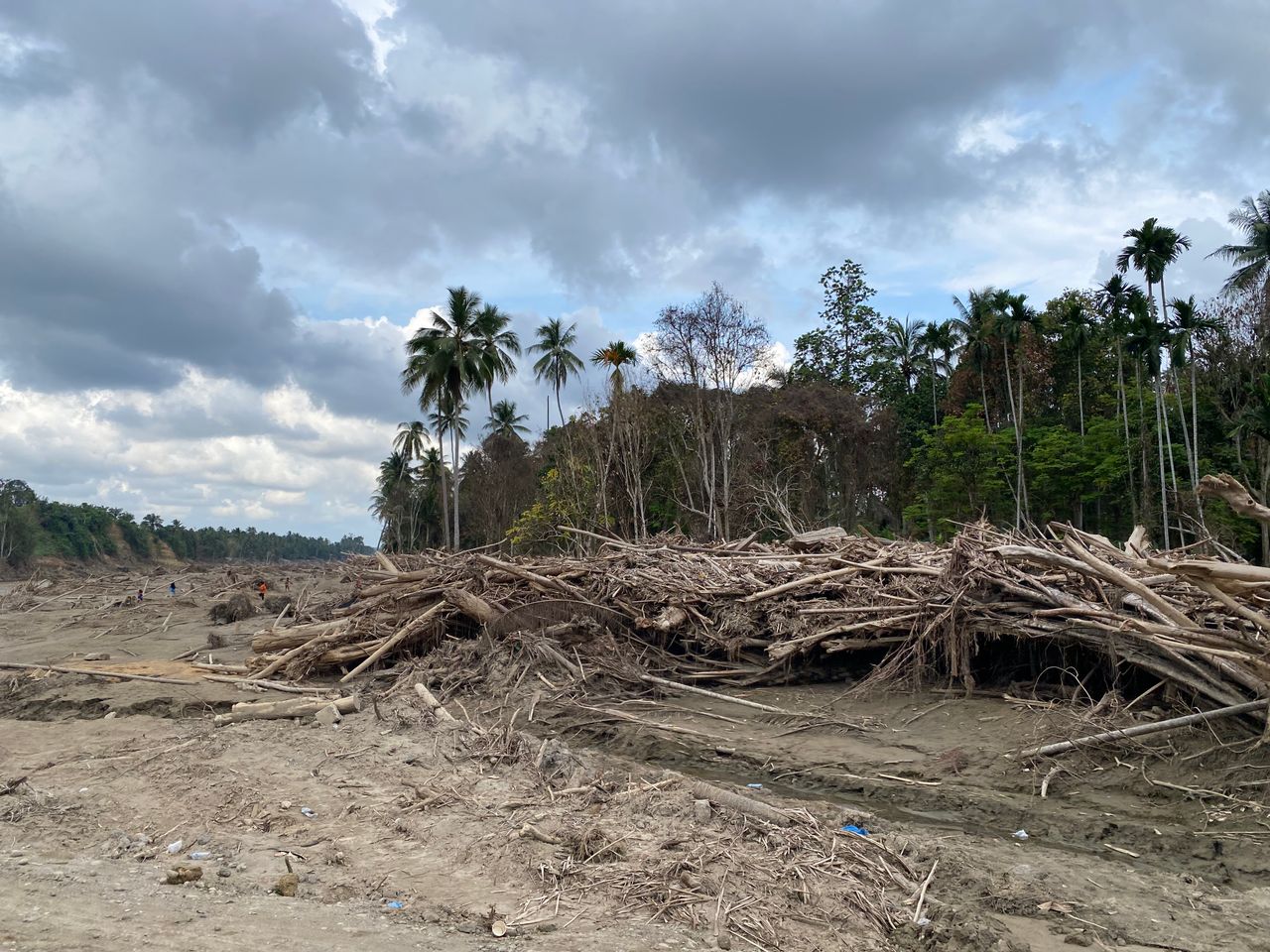 Pile of Wood