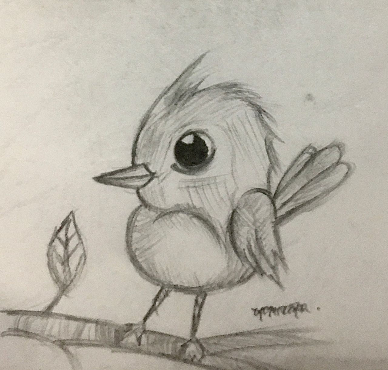 BIRD (SKETCH)✍️