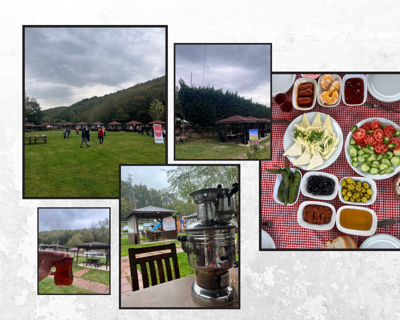 A Wonderful Breakfast in the Rain in Beykoz/Beykoz’da Yağmur Eşliğinde Harika Bir Kahvaltı 🌲🌧️🍳 