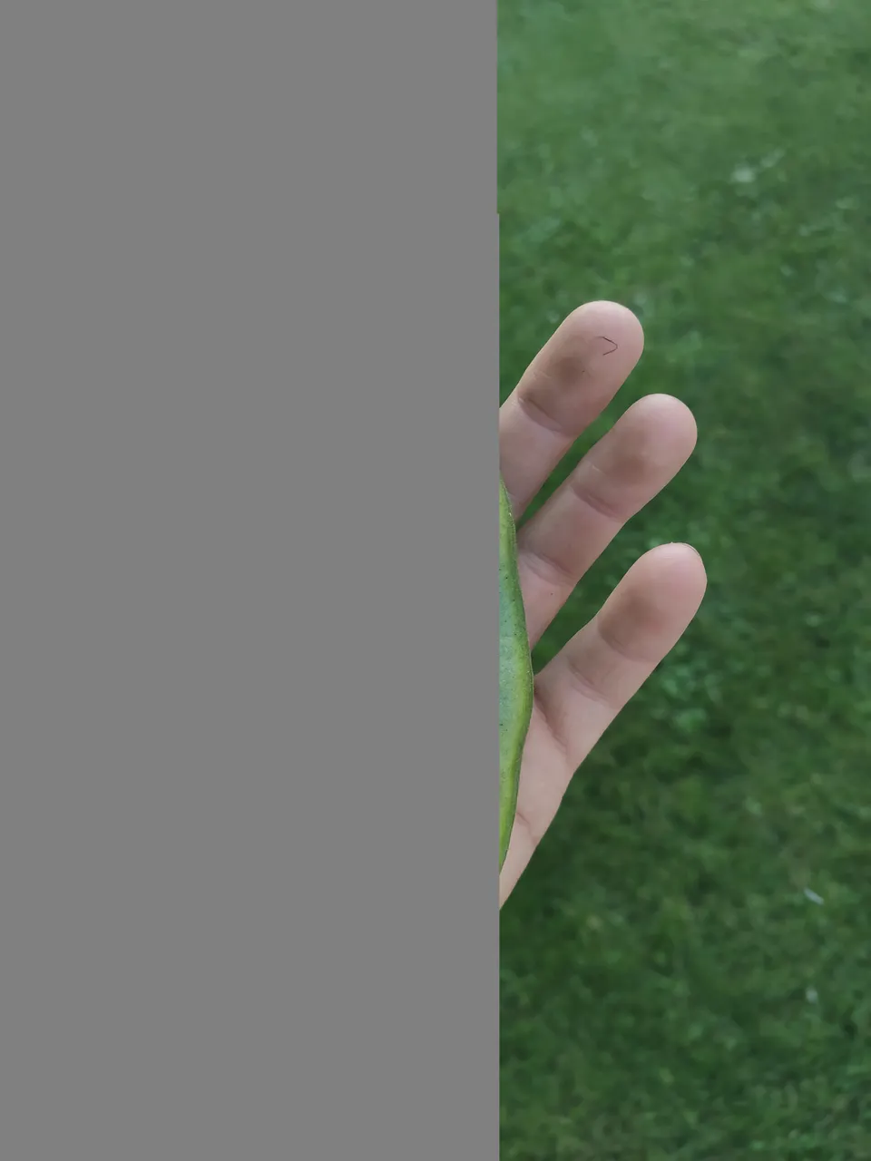"bob9.jpg"