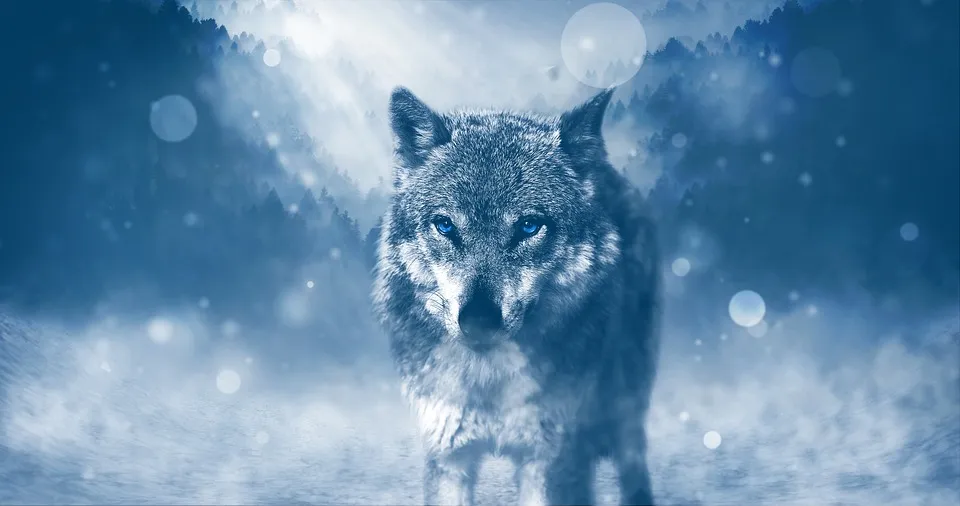 lobo.jpg