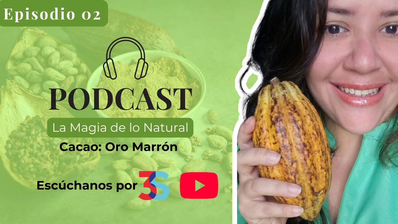Oro Marrón Venezolano; EL CACAO
