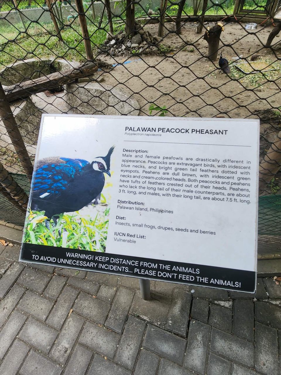 Messenger_creation_1C882D11-C580-4445-9961-ED197F13CB61.jpeg