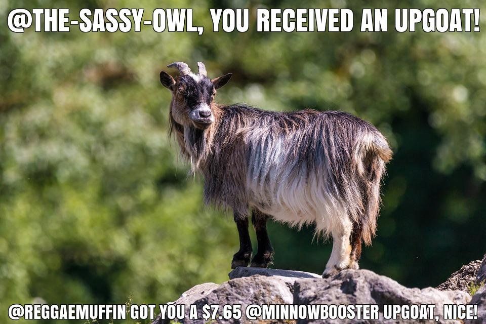 @reggaemuffin got you a $7.65 @minnowbooster upgoat, nice!