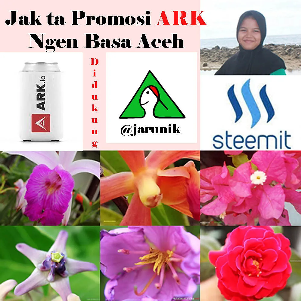 ark-bahasa.jpg