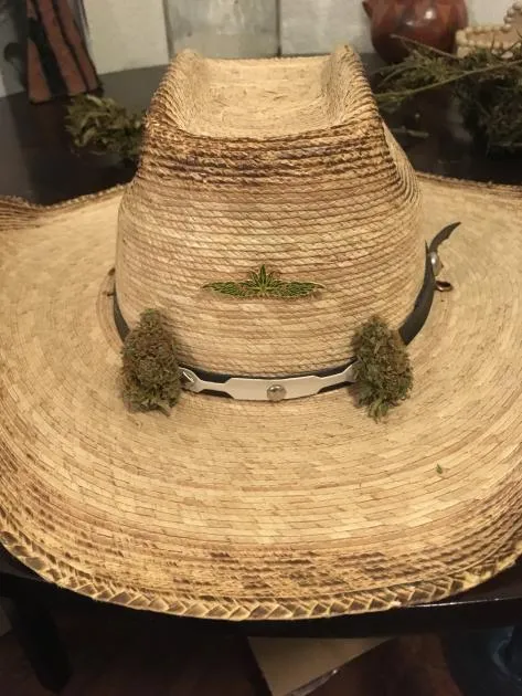 image0 (1).png