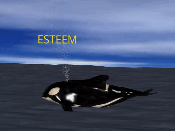 ESTEEM GIF.gif