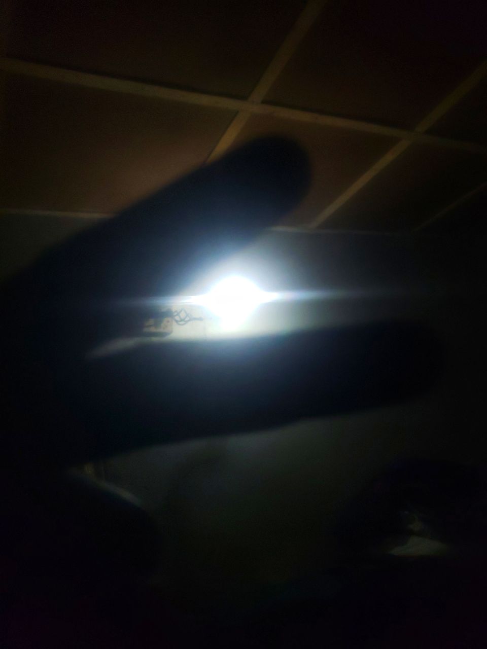 Midnight Urgency