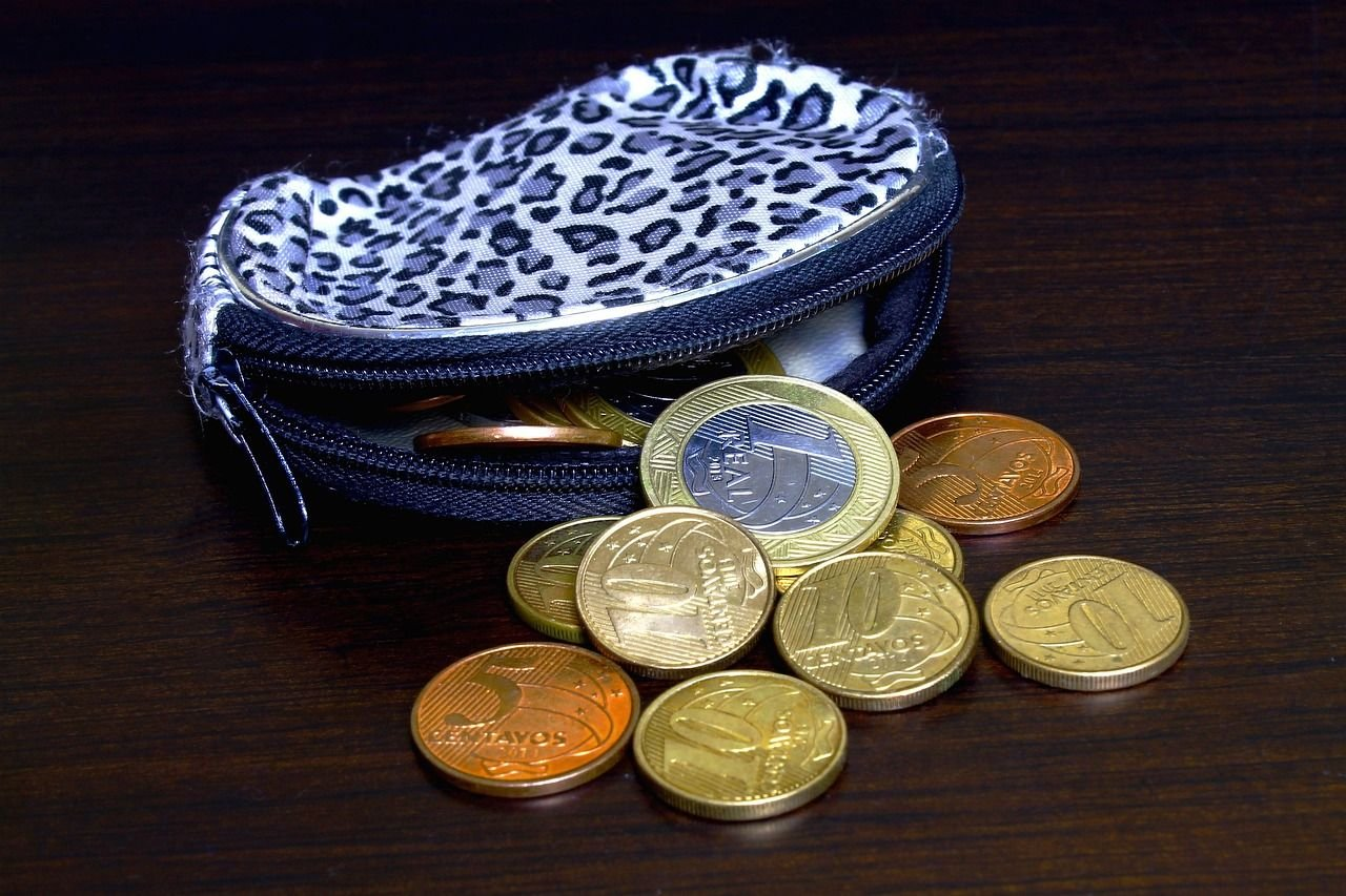 Un país sin monedas, es un algo incompleto.A Picture is Worth a Thousand Words [ENg-Esp]