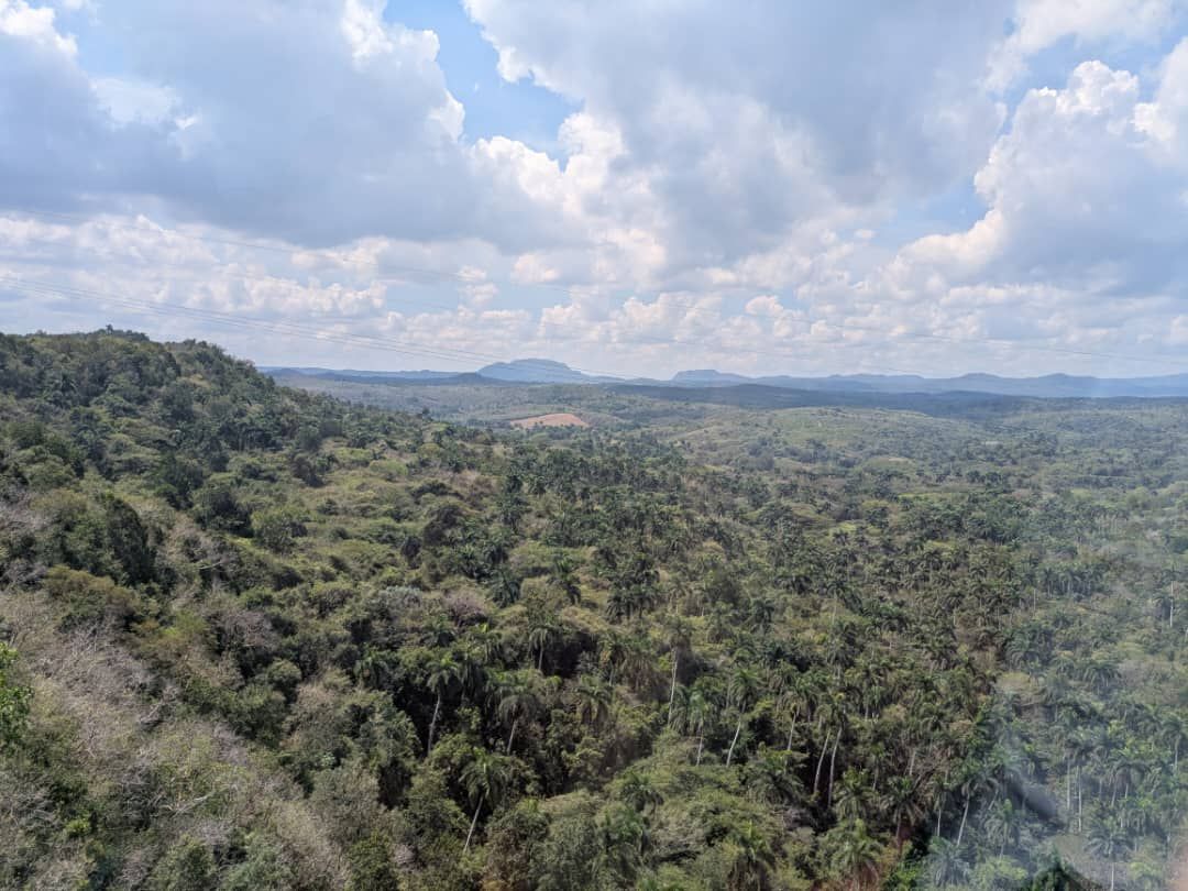 15 January 2026, @mariannewest's Freewrite Writing Prompt Day 2983: don’t go into that forest