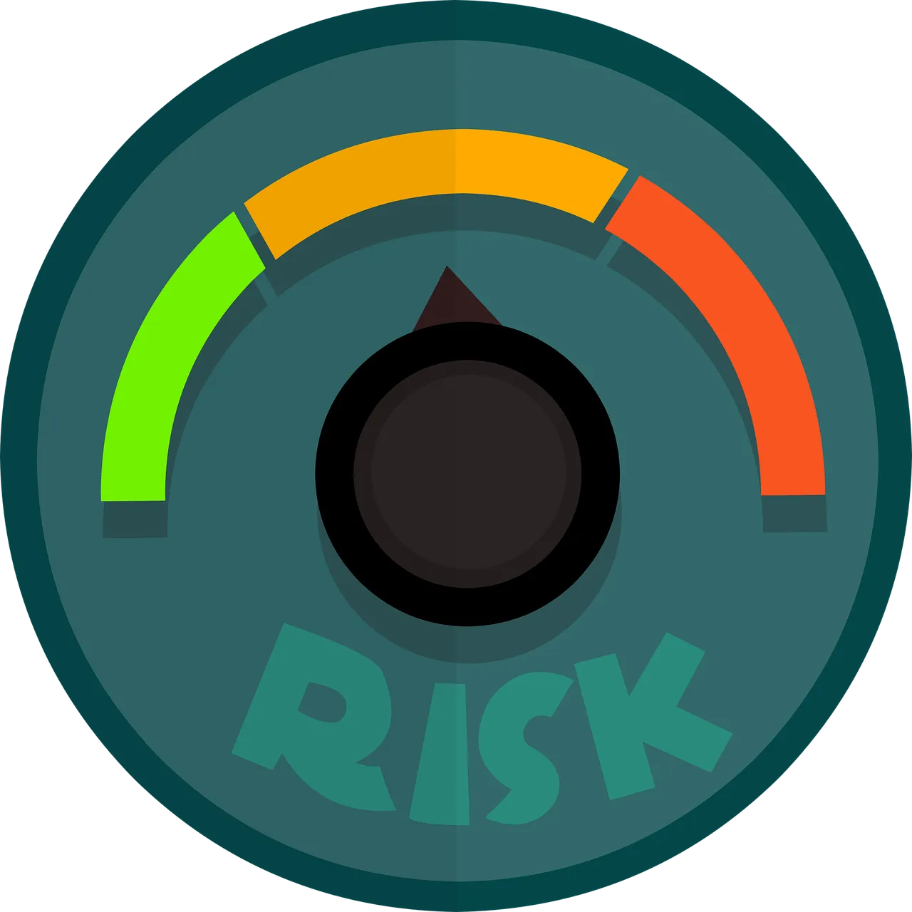 2025: NO RISK ❎ SURVIVAL ✅
