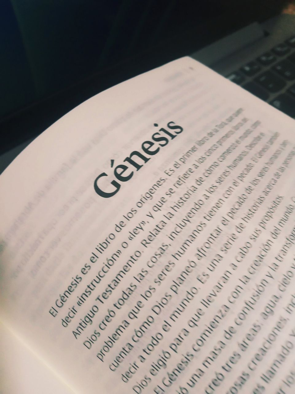 Confesiones de un principiante: Lo que encontré (y no encontré) al leer el Pentateuco [Mi experiencia con la Biblia II]