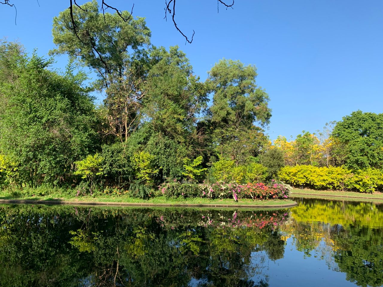 Relaxing moment amidst nature at Queen Sirikit Park