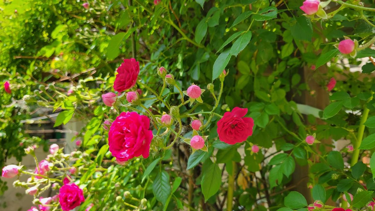 20260528_103059.jpg