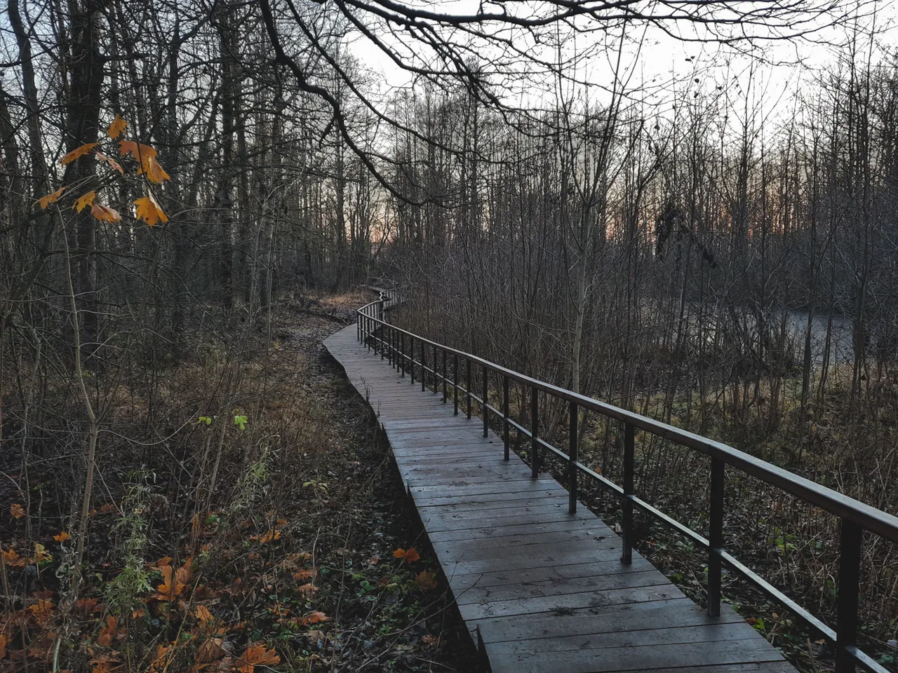 20201113_163217.jpg