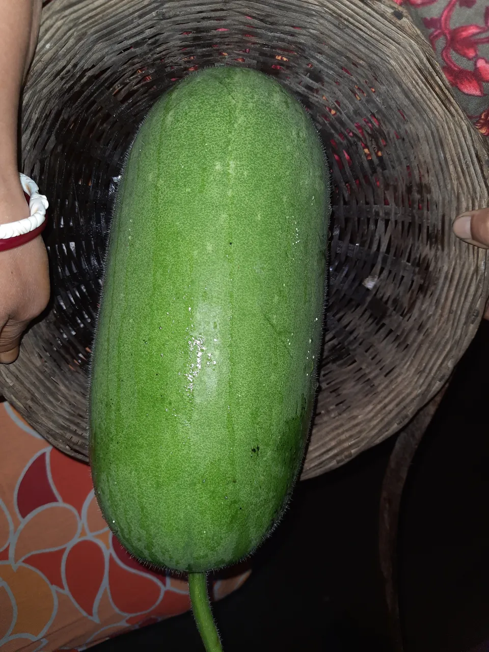 20200727_142711.jpg