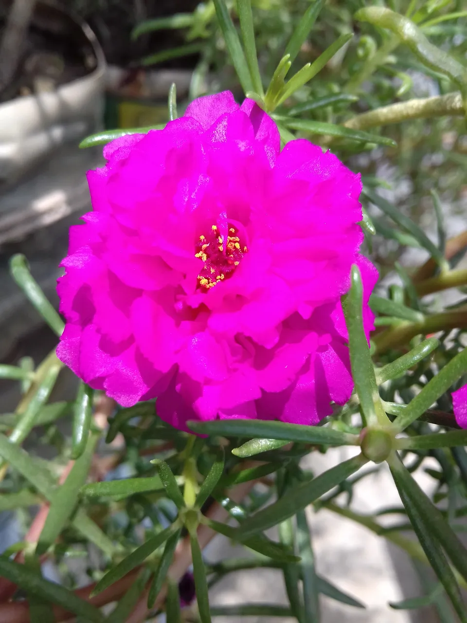 20190510_111356.jpg