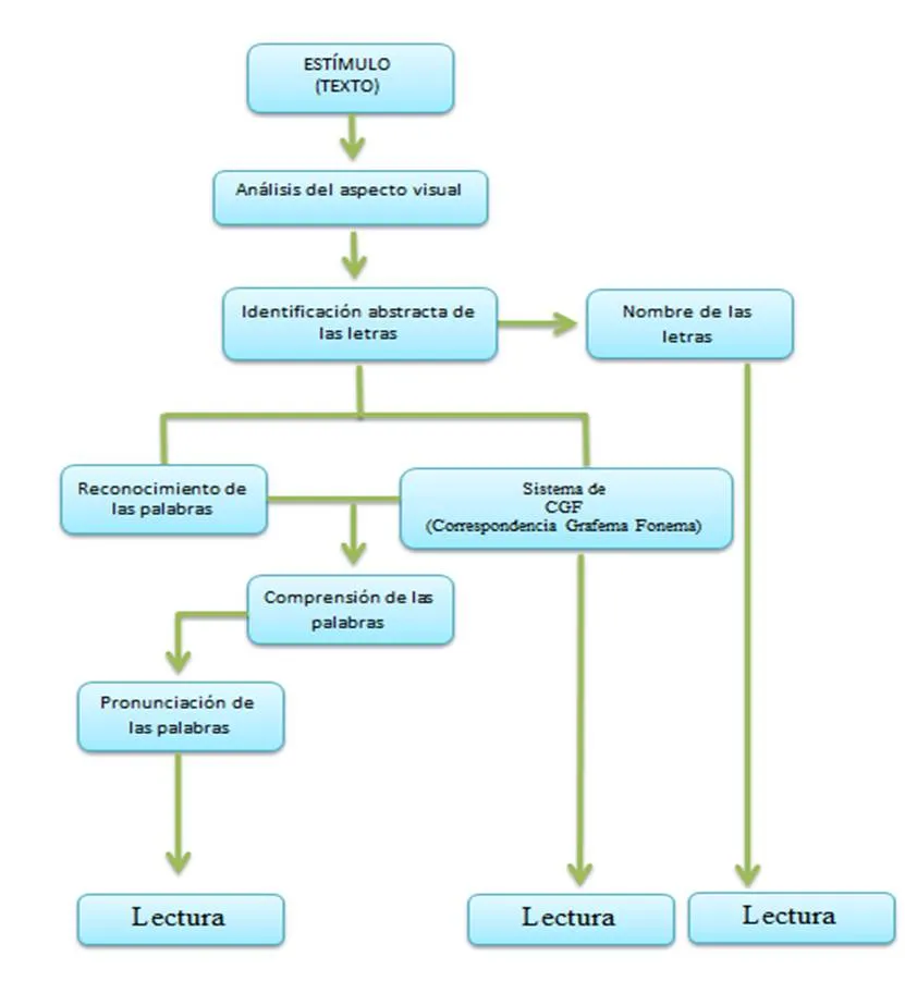 modelodelectura.jpg