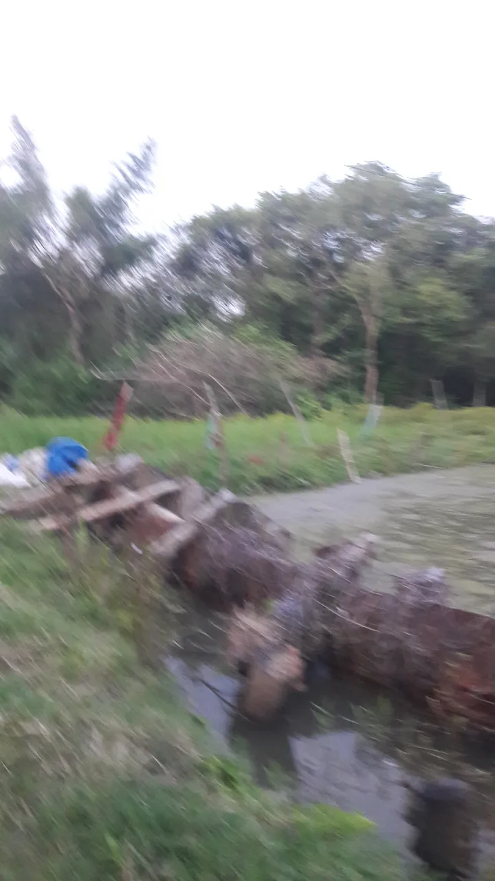 20200701_182525.jpg