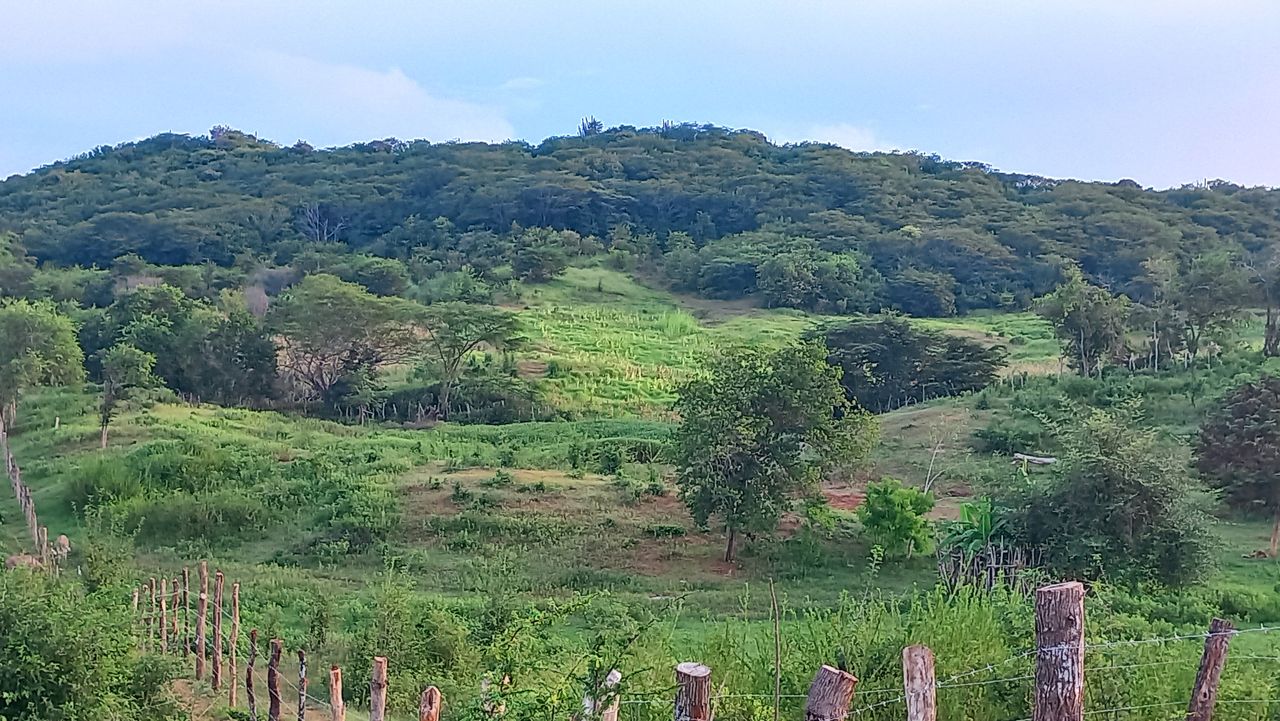 20250915_175008.jpg