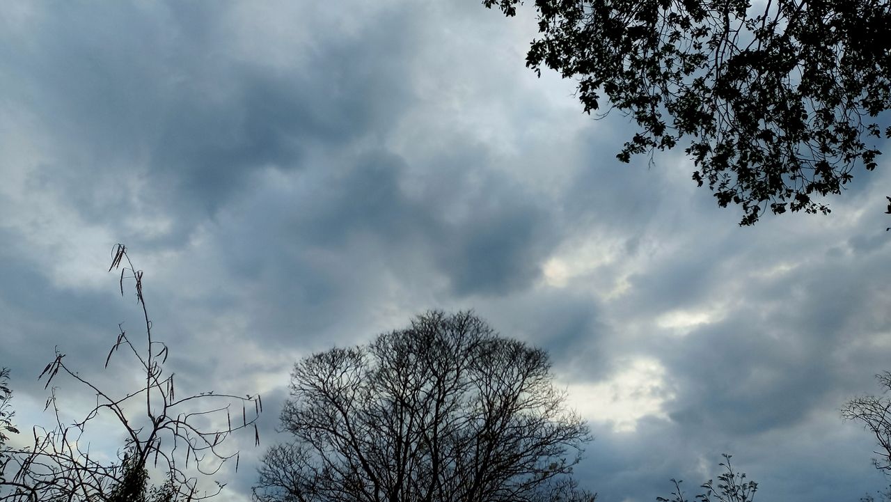 20250407_180101.jpg